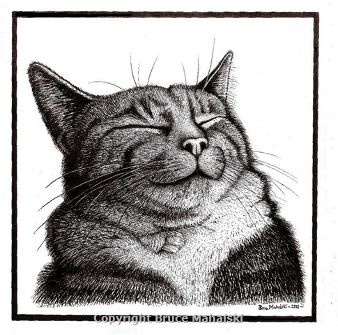 Happy Cat Picture